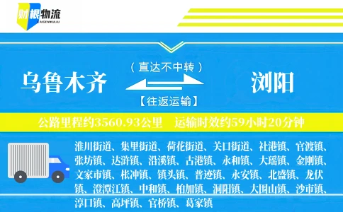 乌鲁木齐到浏阳物流公司