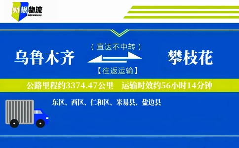 乌鲁木齐到攀枝花物流公司
