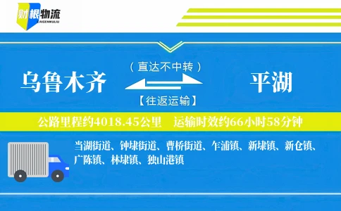 乌鲁木齐到平湖物流公司