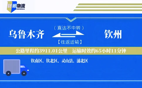 乌鲁木齐到钦州物流公司