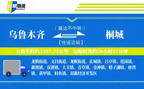 乌鲁木齐到桐城物流公司