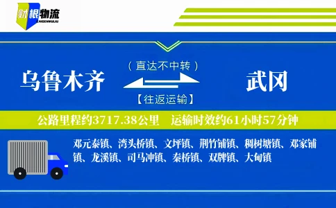乌鲁木齐到武冈物流公司