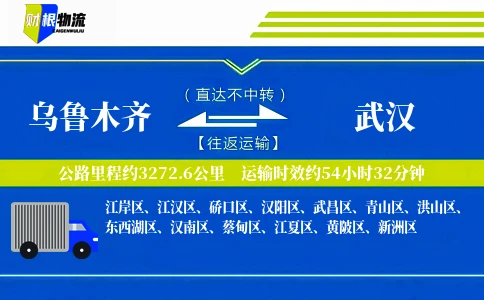 乌鲁木齐到武汉物流公司