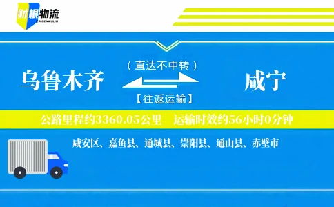 乌鲁木齐到咸宁物流公司