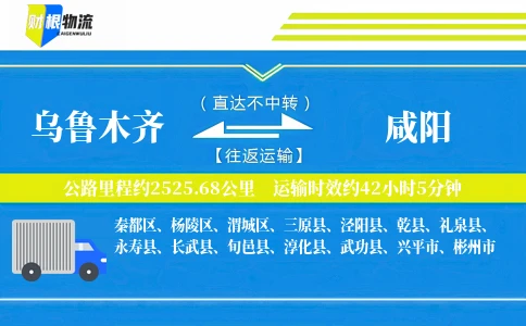 乌鲁木齐到咸阳物流公司