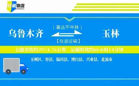 乌鲁木齐到玉林物流公司