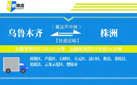 乌鲁木齐到株洲物流公司