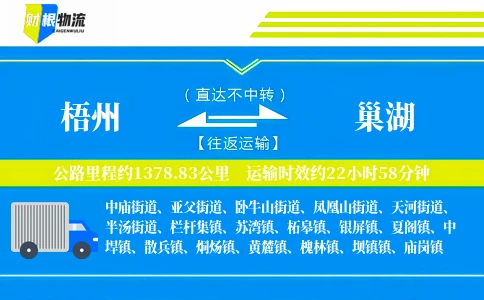 梧州到巢湖物流公司