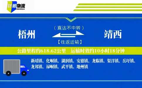 梧州到靖西物流公司