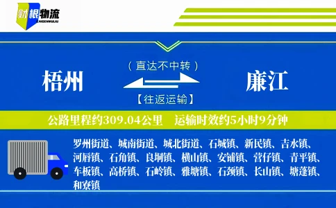 梧州到廉江物流公司