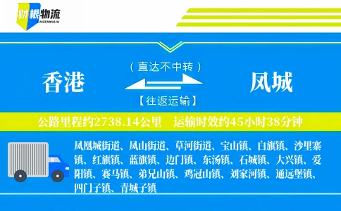 香港到凤城物流公司