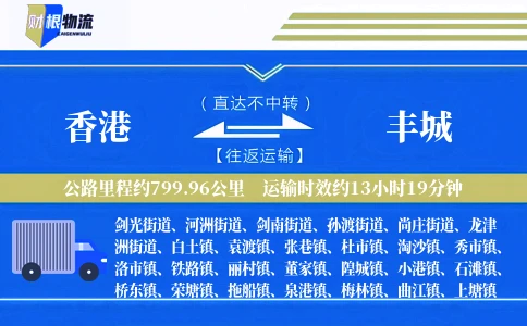 香港到丰城物流公司