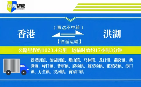 香港到洪湖物流公司