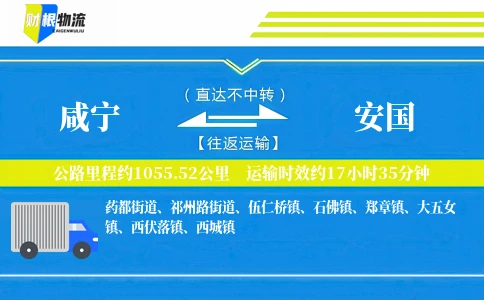 咸宁到安国物流公司