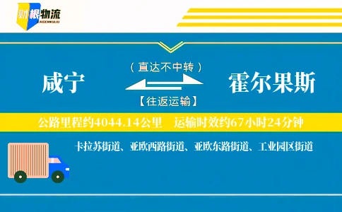 咸宁到霍尔果斯物流公司