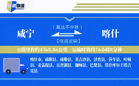 咸宁到喀什物流公司