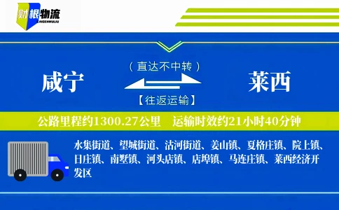 咸宁到莱西物流公司
