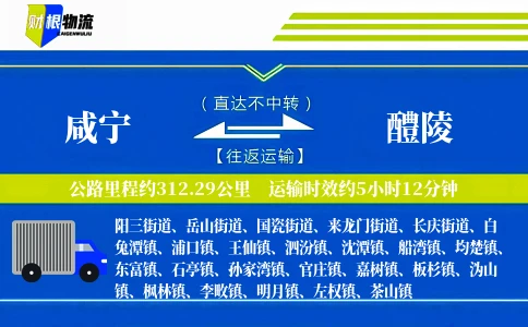 咸宁到醴陵物流公司