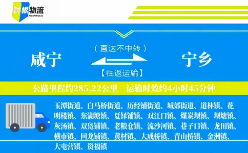 咸宁到宁乡物流公司