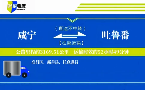 咸宁到吐鲁番物流公司
