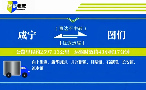 咸宁到图们物流公司
