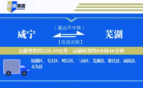 咸宁到芜湖物流公司