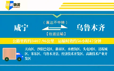咸宁到乌鲁木齐物流公司