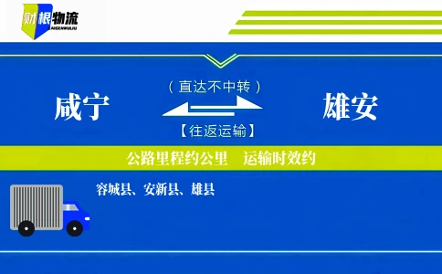 咸宁到雄安物流公司