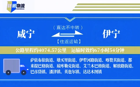 咸宁到伊宁物流公司