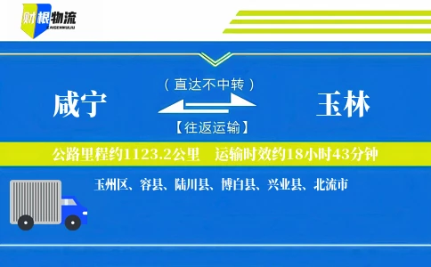 咸宁到玉林物流公司