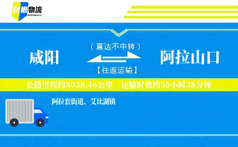 咸阳到阿拉山口物流公司