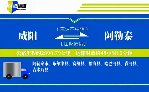 咸阳到阿勒泰物流公司