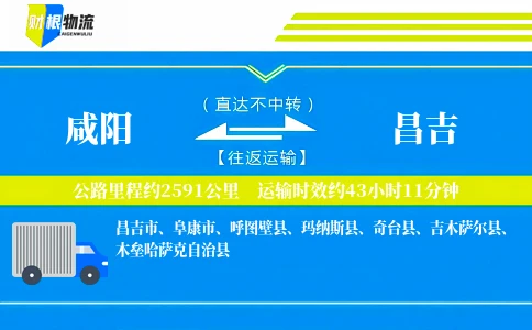 咸阳到昌吉物流公司