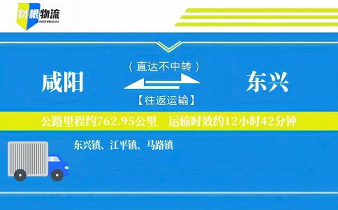 咸阳到东兴物流公司