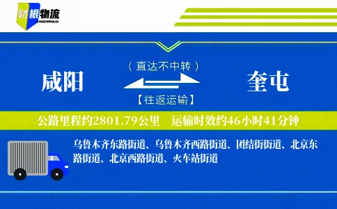 咸阳到奎屯物流公司