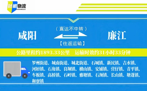 咸阳到廉江物流公司