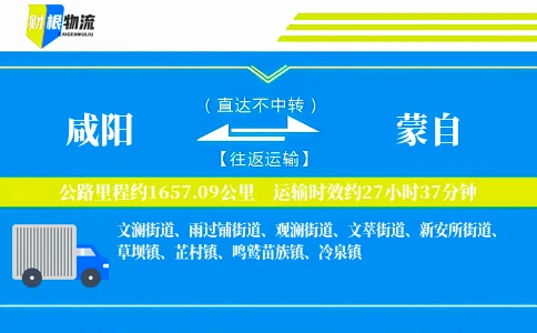 咸阳到蒙自物流公司