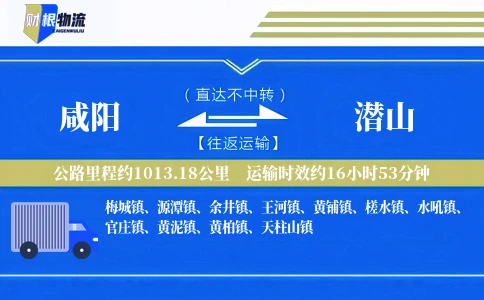 咸阳到潜山物流公司