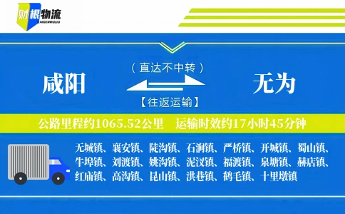 咸阳到无为物流公司