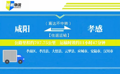 咸阳到孝感物流公司