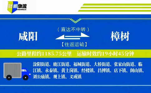 咸阳到樟树物流公司