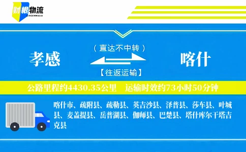 孝感到喀什物流公司