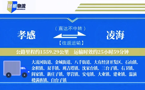 孝感到凌海物流公司