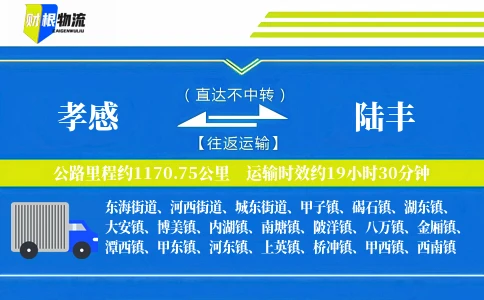 孝感到陆丰物流公司