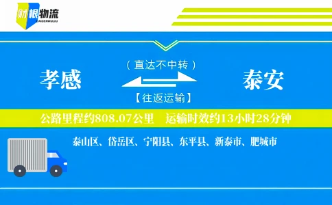 孝感到泰安物流公司
