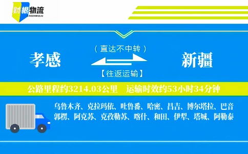 孝感到新疆物流公司
