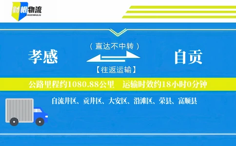 孝感到自贡物流公司