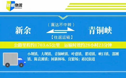 新余到青铜峡物流公司