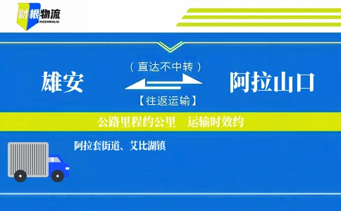 雄安到阿拉山口物流公司
