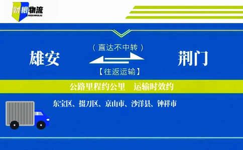 雄安到荆门物流公司